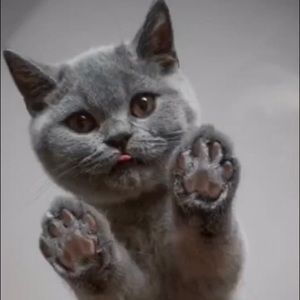 Meet your Posher, Nadia